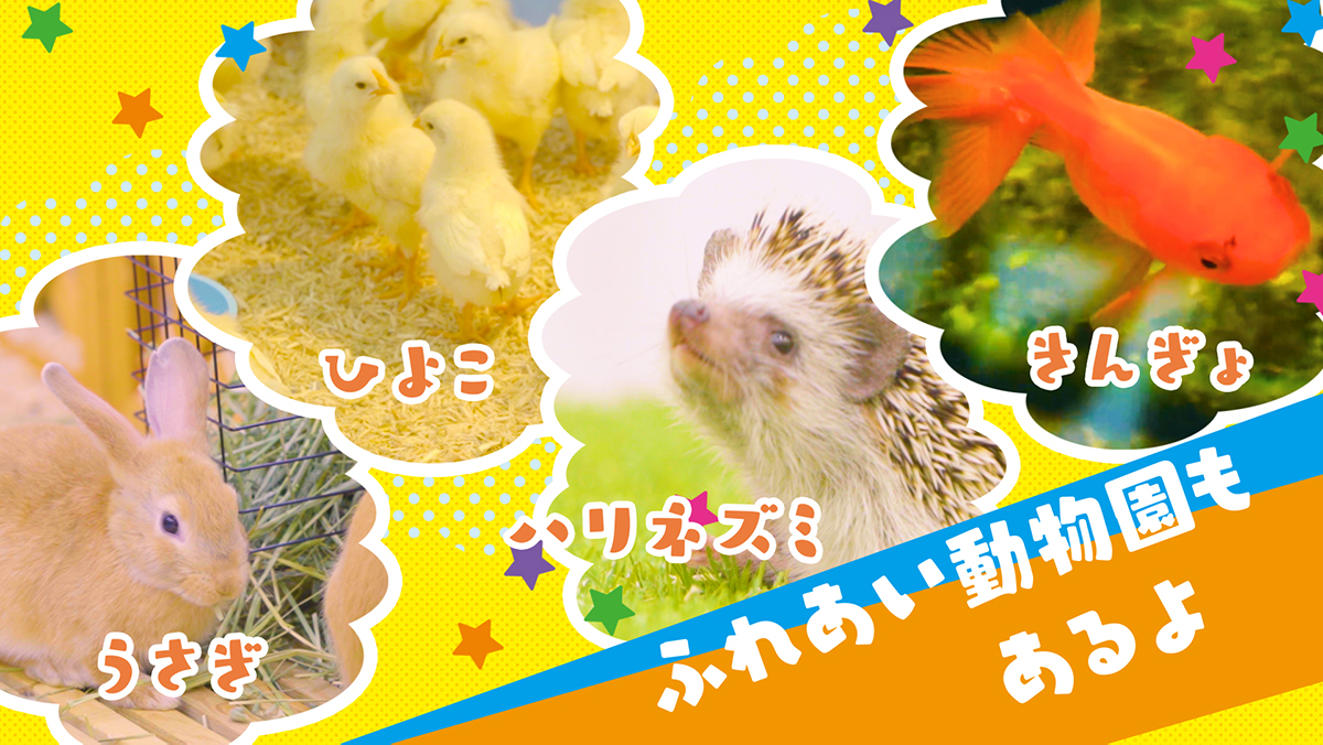 ふれあい動物園
